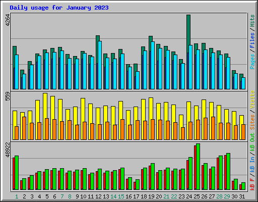Daily usage for January 2023