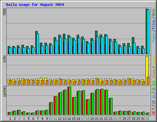 Daily usage for August 2024