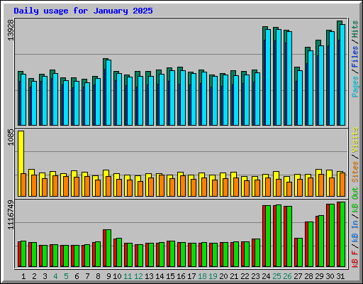 Daily usage for January 2025