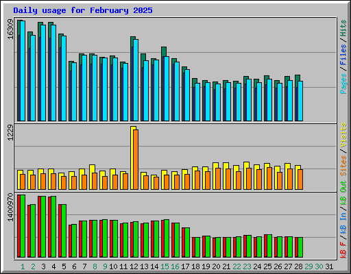 Daily usage for February 2025