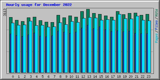 Hourly usage for December 2022