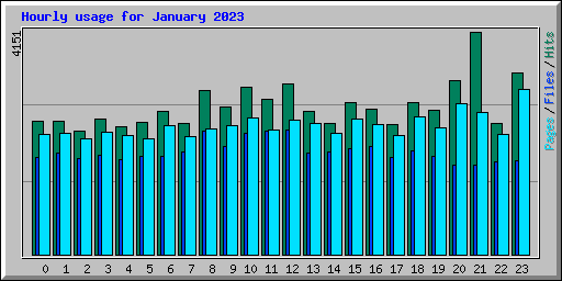 Hourly usage for January 2023