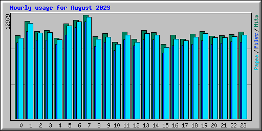 Hourly usage for August 2023