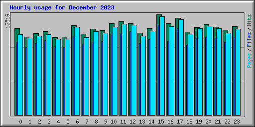 Hourly usage for December 2023