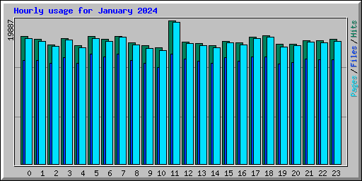 Hourly usage for January 2024