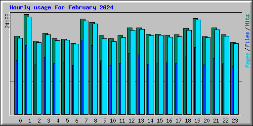 Hourly usage for February 2024
