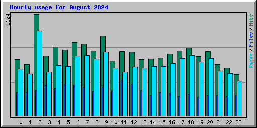 Hourly usage for August 2024