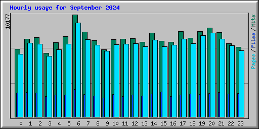 Hourly usage for September 2024