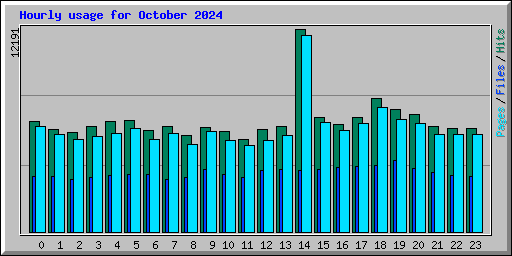 Hourly usage for October 2024