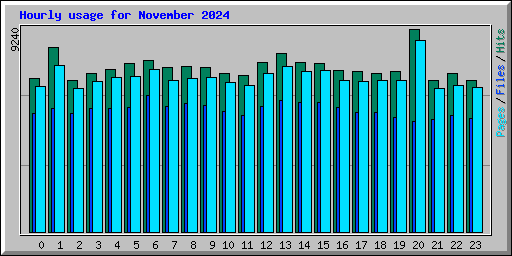 Hourly usage for November 2024