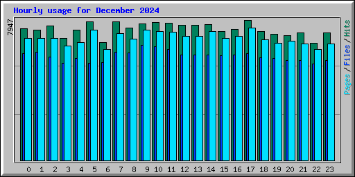 Hourly usage for December 2024