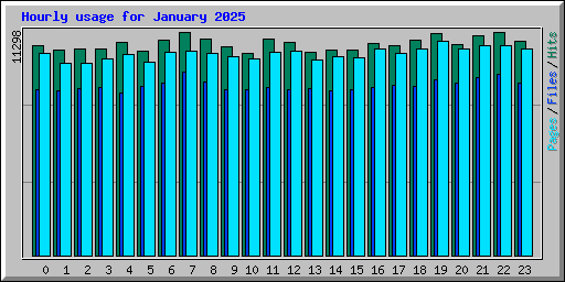 Hourly usage for January 2025