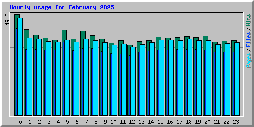 Hourly usage for February 2025