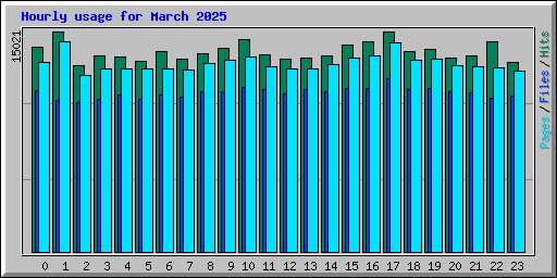 Hourly usage for March 2025