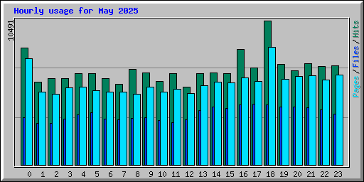 Hourly usage for May 2025