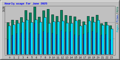 Hourly usage for June 2025
