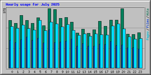Hourly usage for July 2025