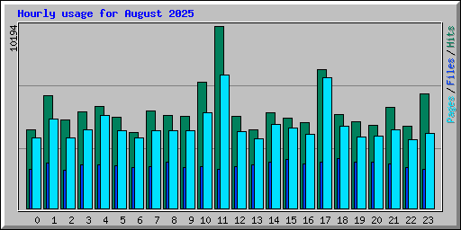 Hourly usage for August 2025