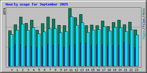 Hourly usage for September 2025