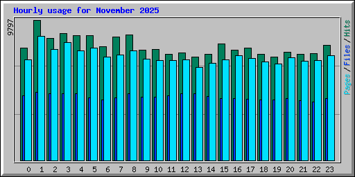 Hourly usage for November 2025